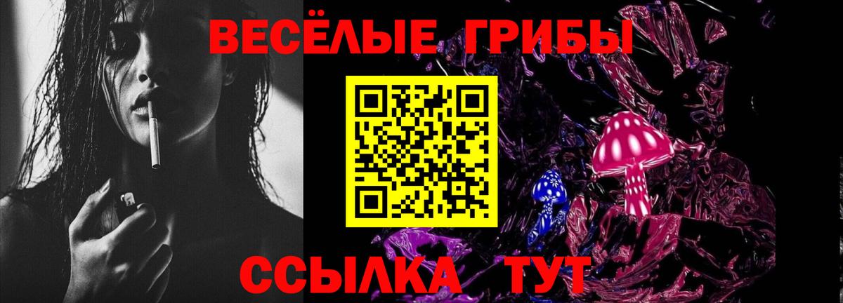 где продают наркотики  Галлюциногенные грибы Magic Shrooms  Вход с VPN  Новоуральск  Псилоцибиновые грибы мухоморы 